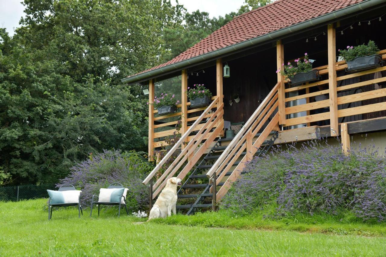 Le Chalet D'Eliot Chevigny  المظهر الخارجي الصورة